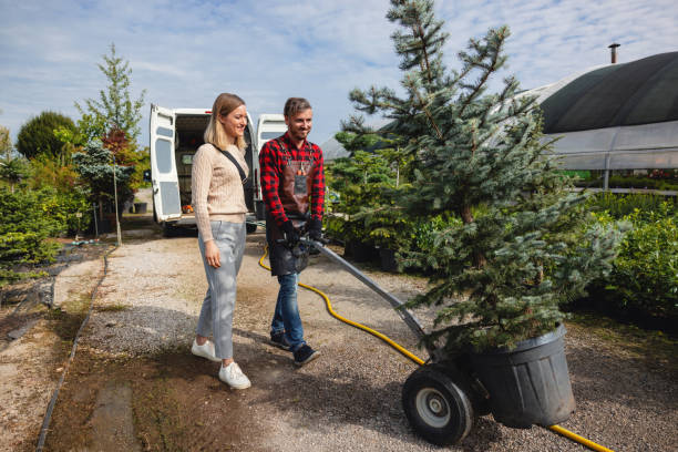 Reliable Pleasureville, KY Tree Services Solutions